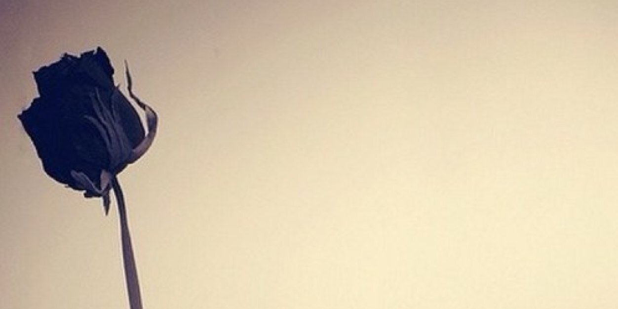 LaaLaa8118's profile banner image