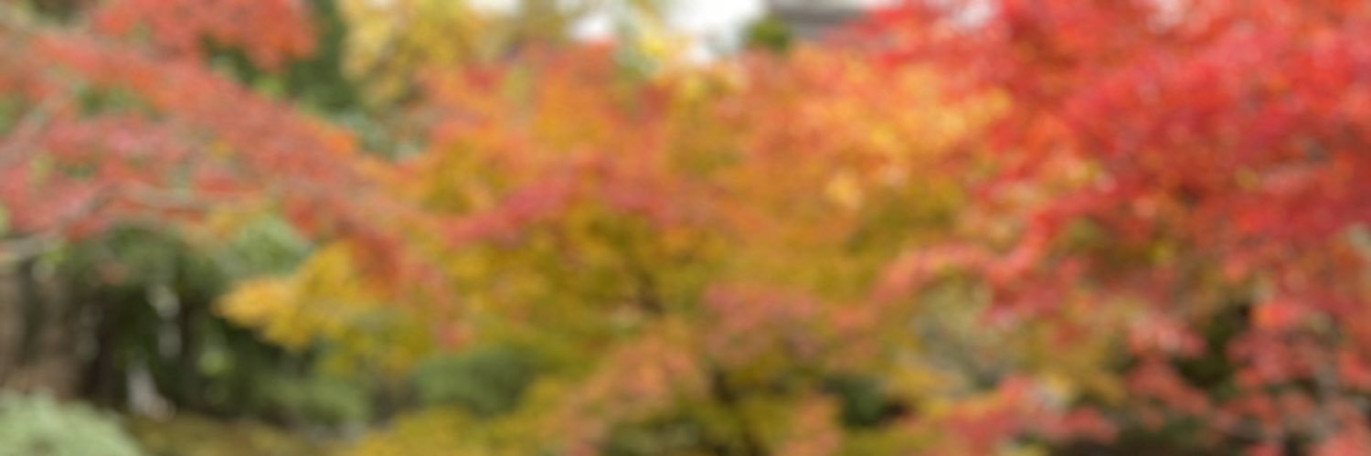 ymd1109's profile banner image