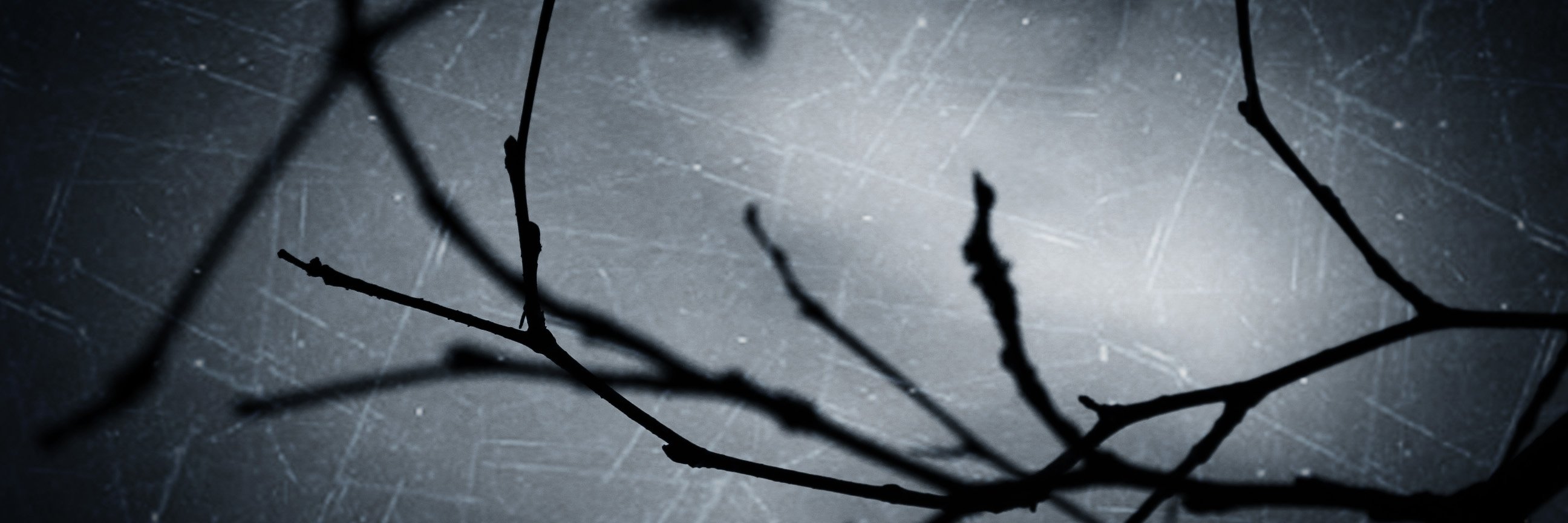 designaustralia's profile banner image