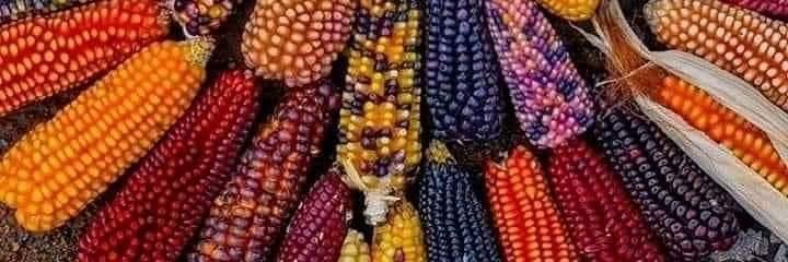 ReneCenteno's profile banner image