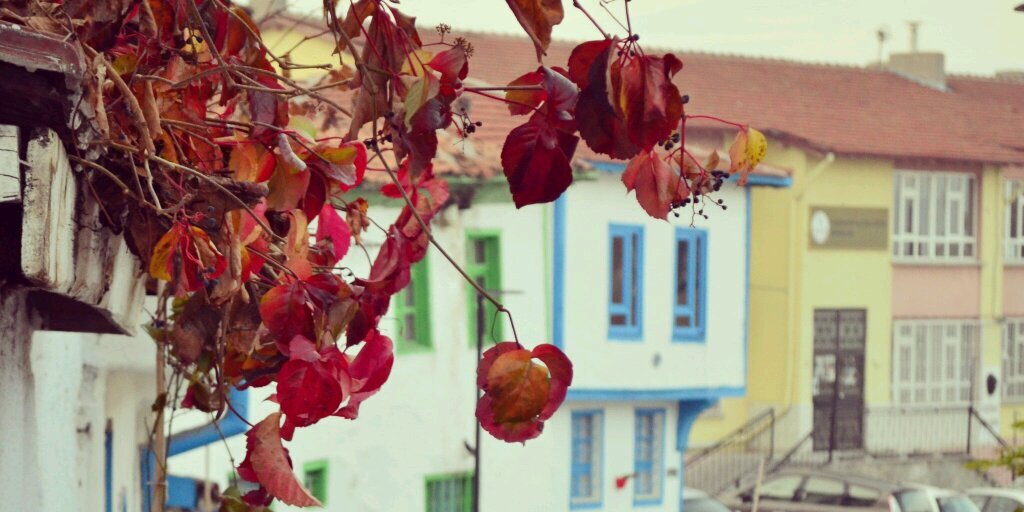 Safia_aa's profile banner image