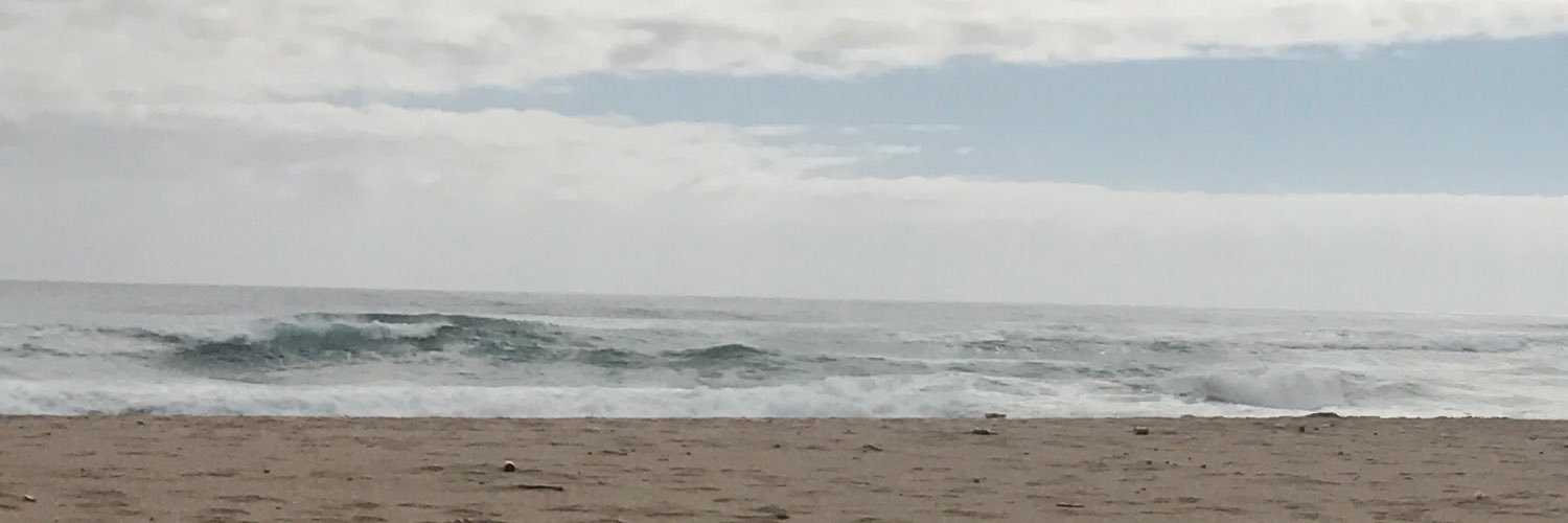 OnalennaS's profile banner image