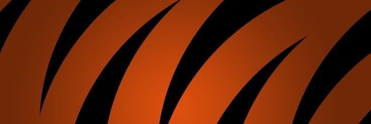 EricaMG83's profile banner image