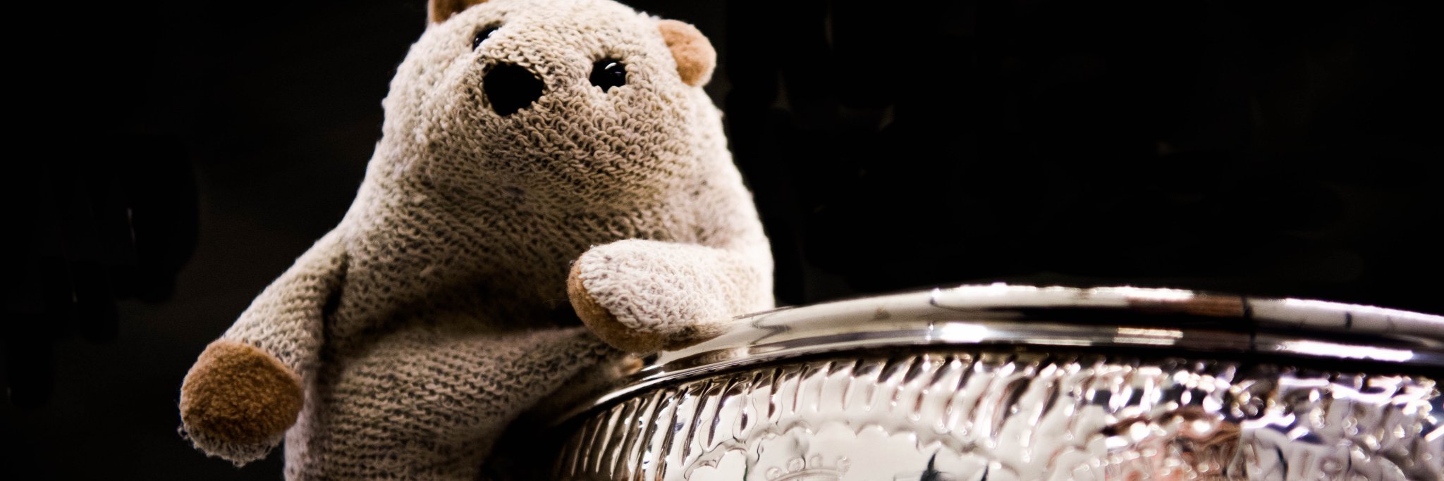 BiAPhotography's profile banner image