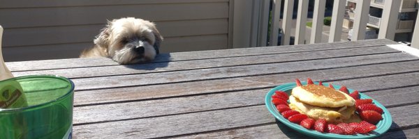 joshua_dierolf Profile Banner