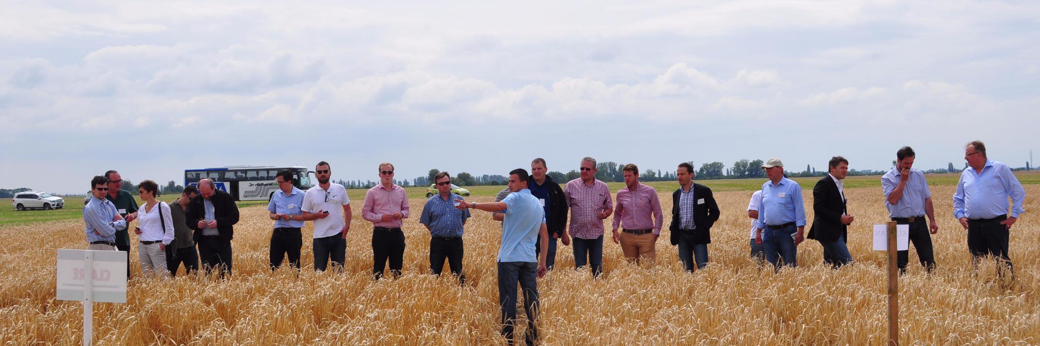 RMI Analytics GmbH banner