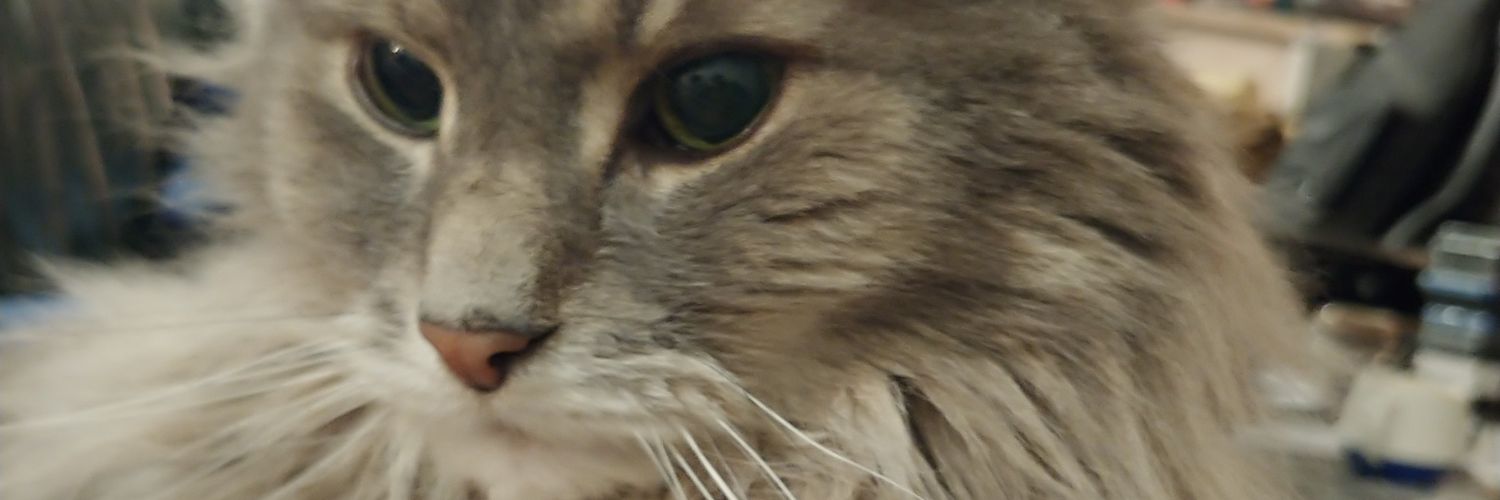 ImBradMan's profile banner image
