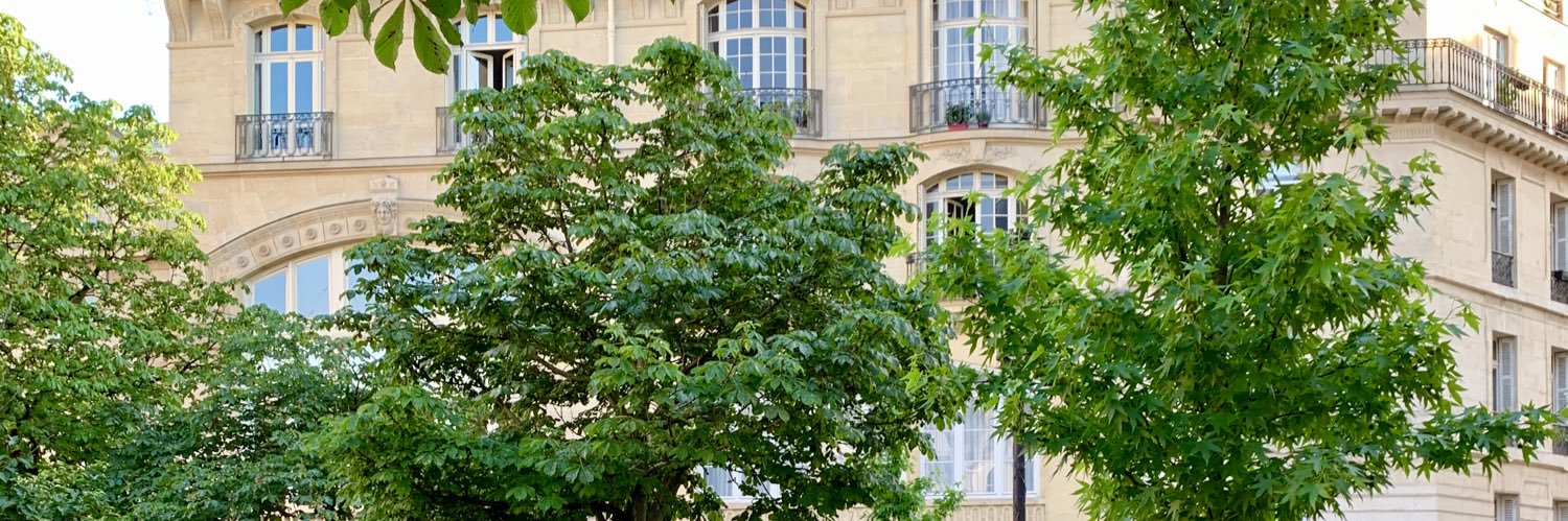 Dulermo Sebastien banner