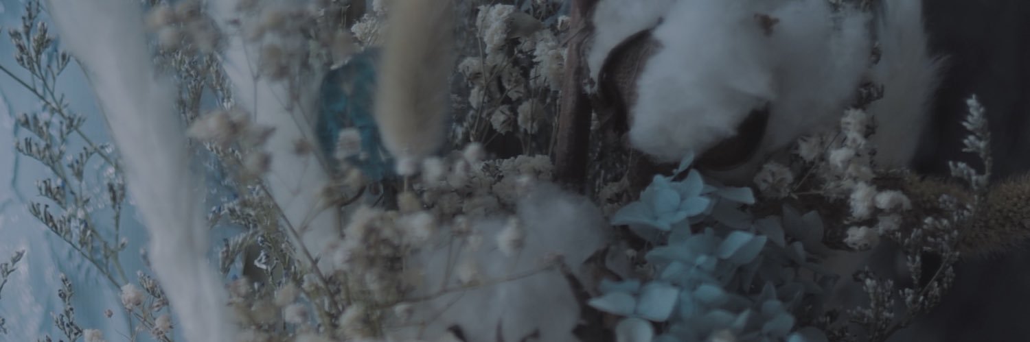 helsinr's profile banner image