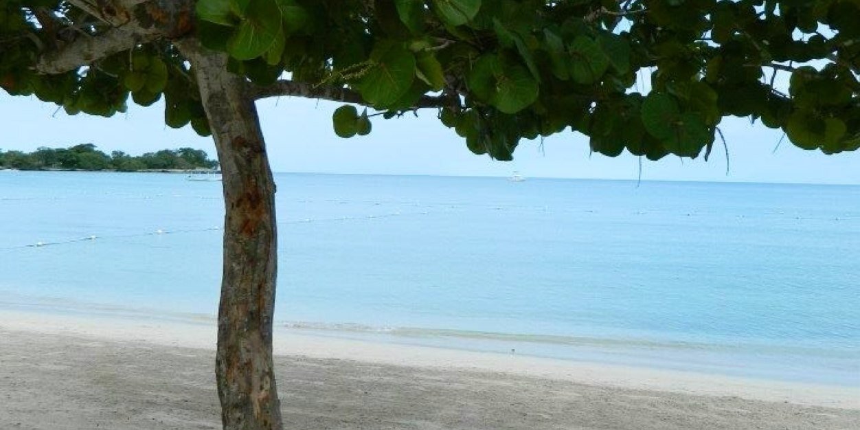 laureneneff's profile banner image