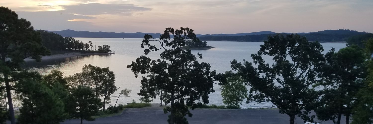 oldauntmonie's profile banner image