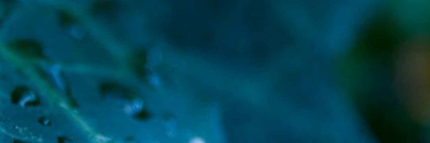volume87issue2's profile banner image