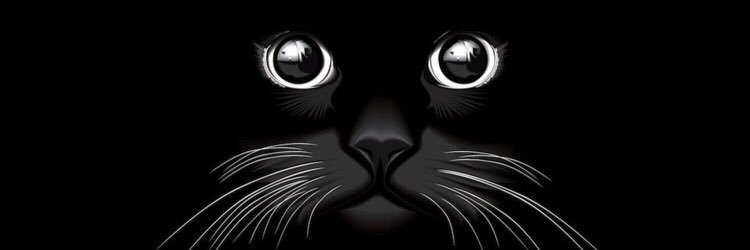 BartuCan26's profile banner image