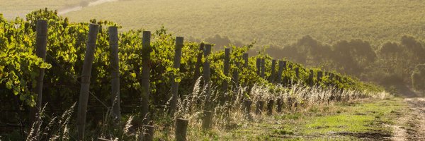 paxtonwines Profile Banner