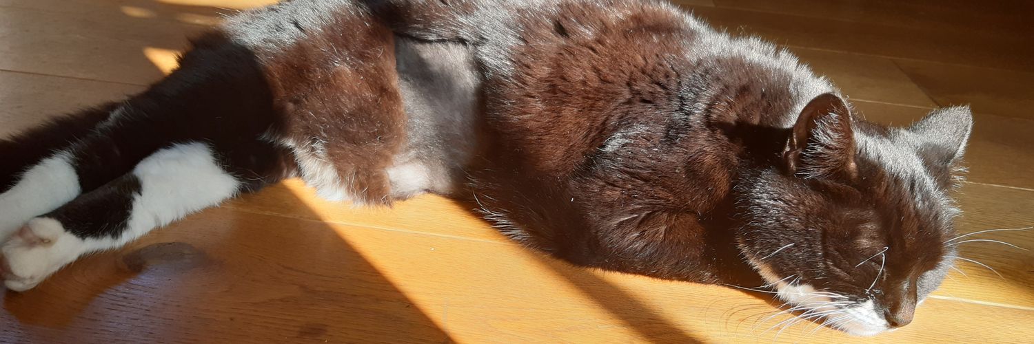 Paula Reynolds banner