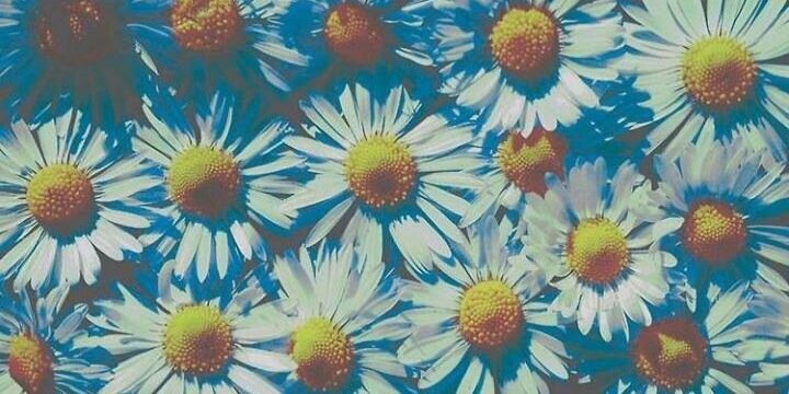 ErikaFregoni's profile banner image