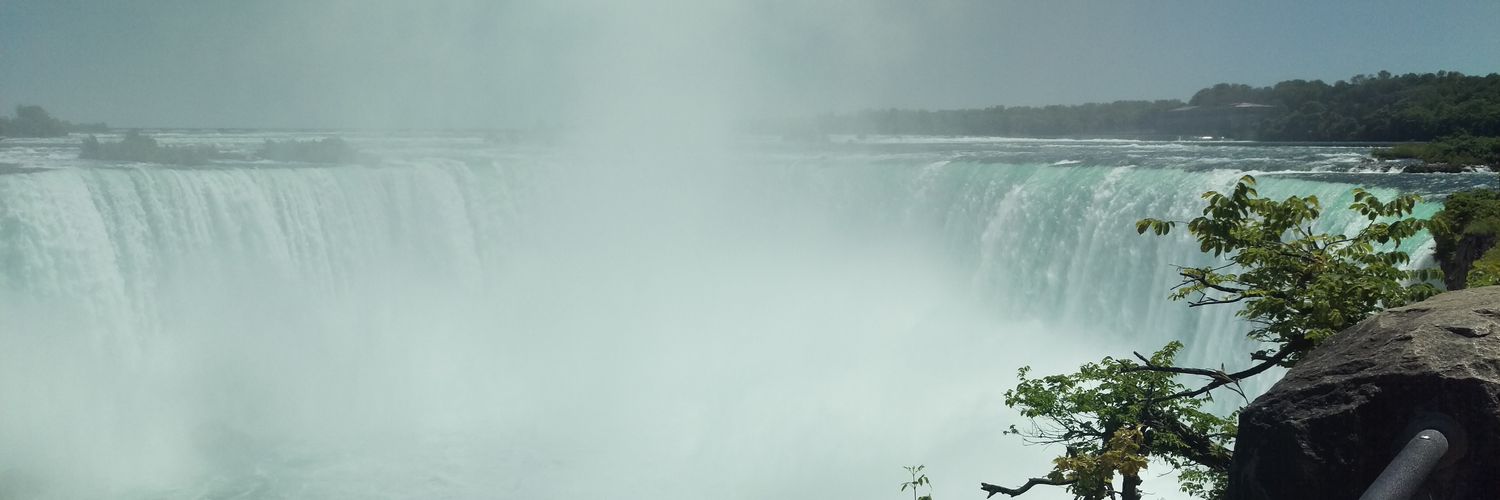 Dawson MacMillan banner