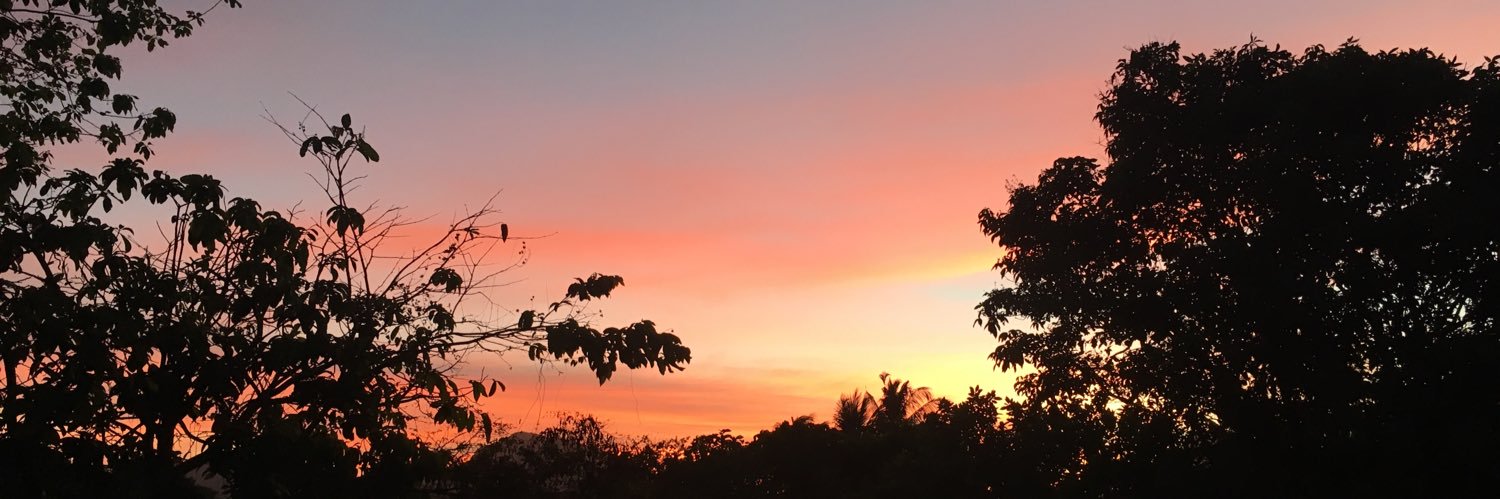 phoebe_simpson5's profile banner image