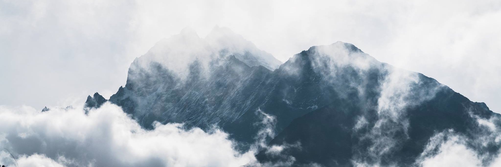 lizziefenner's profile banner image