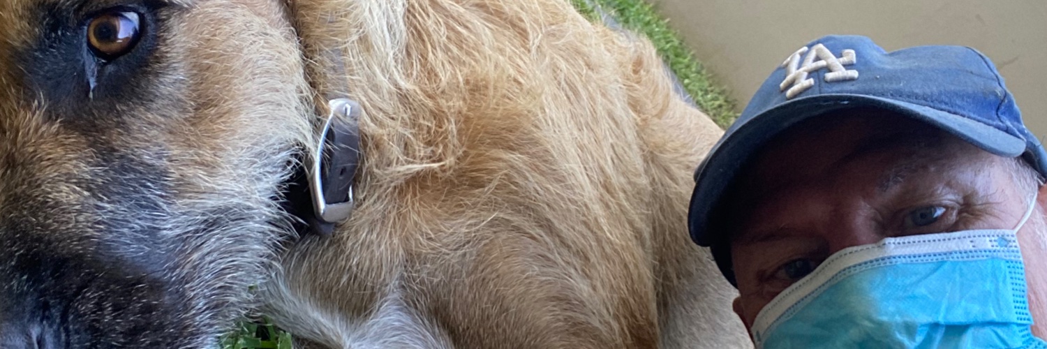 DavidRollins1's profile banner image