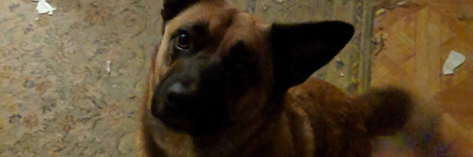 AlexWaldrop2384's profile banner image