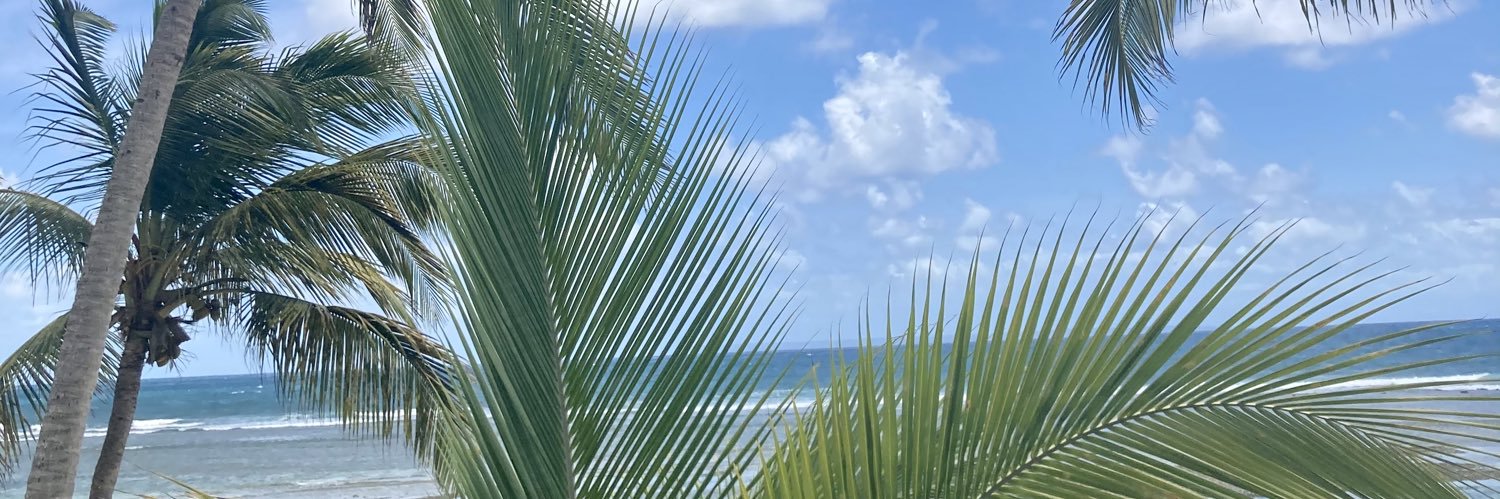 charllizethero's profile banner image
