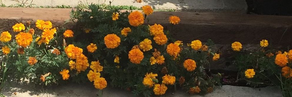 benaytuysuz's profile banner image