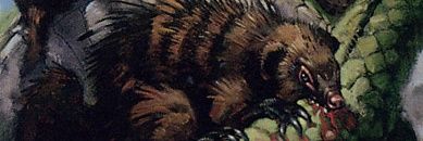 D banner