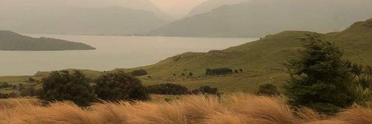 notinproportion's profile banner image