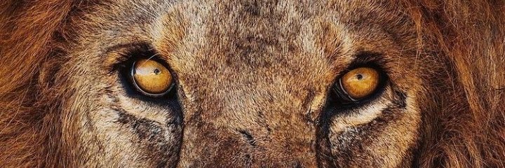 ibrahimemad2014's profile banner image