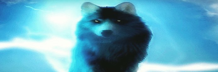SheWolfAlex's profile banner image