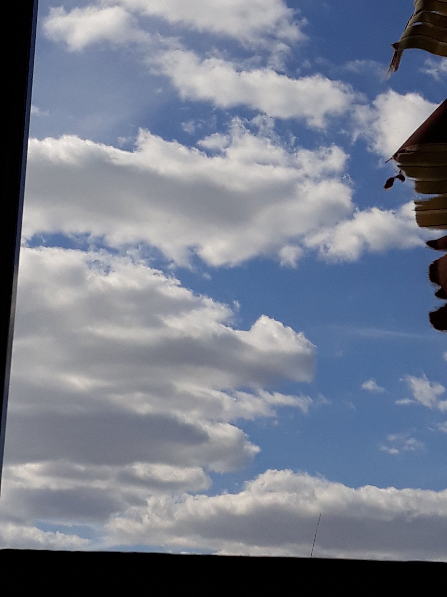 FranSalinass9's profile banner image