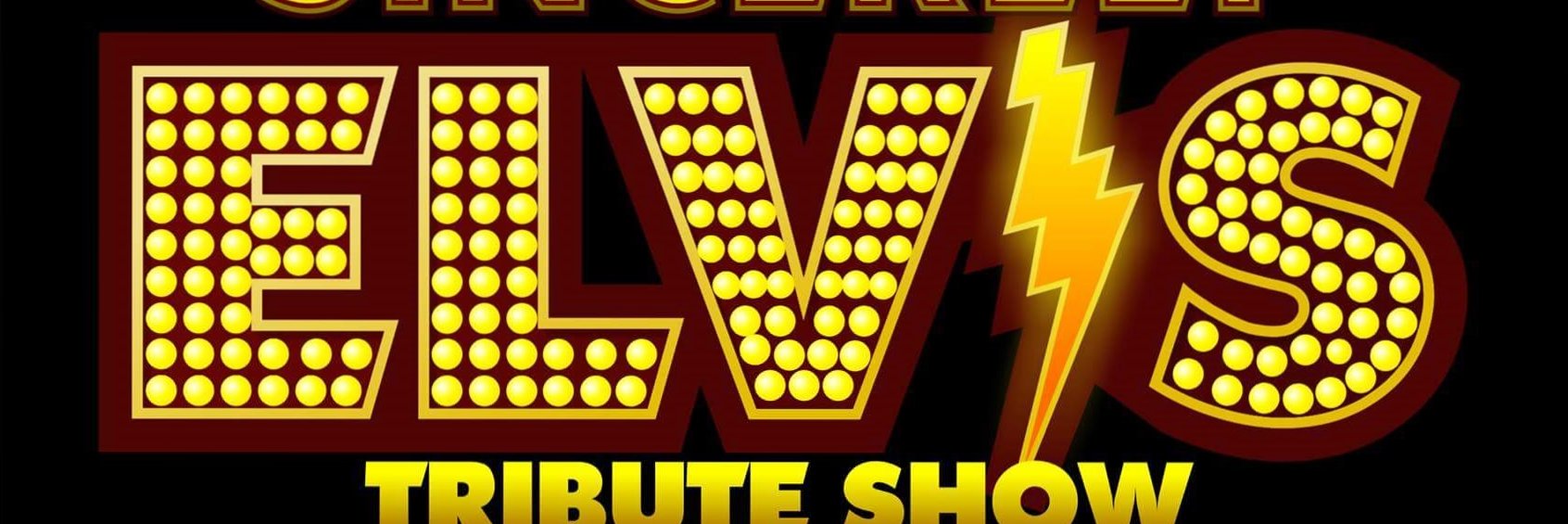 sincerelyElvis's profile banner image