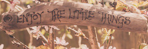 lexxxmcshea's profile banner image