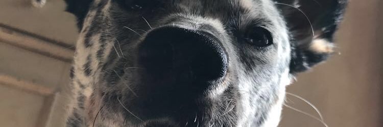 tuff_skinz's profile banner image