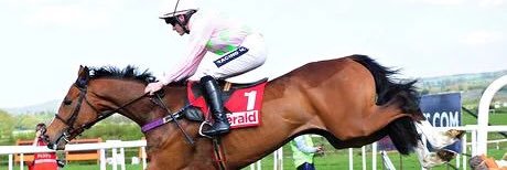 Meadowview Stables banner