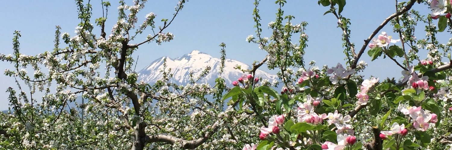 kouko_bwl's profile banner image