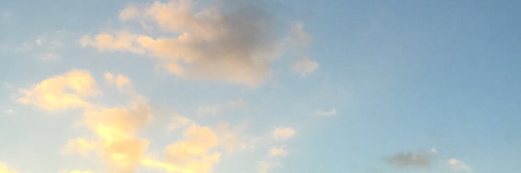 machannold's profile banner image