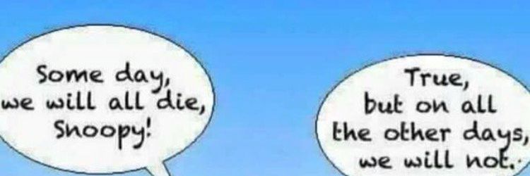 SudheeG's profile banner image