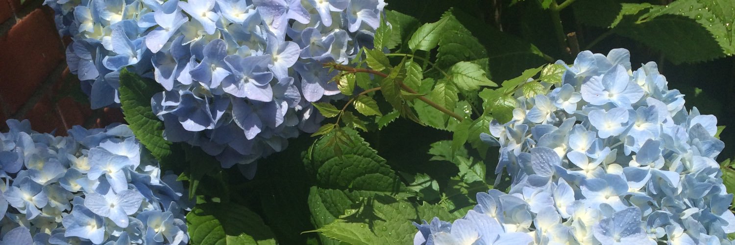Pensights_Robin's profile banner image