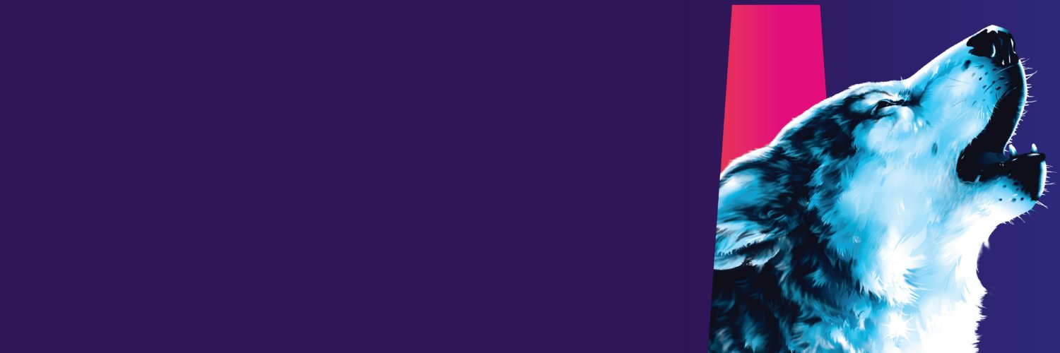 roxierockster's profile banner image