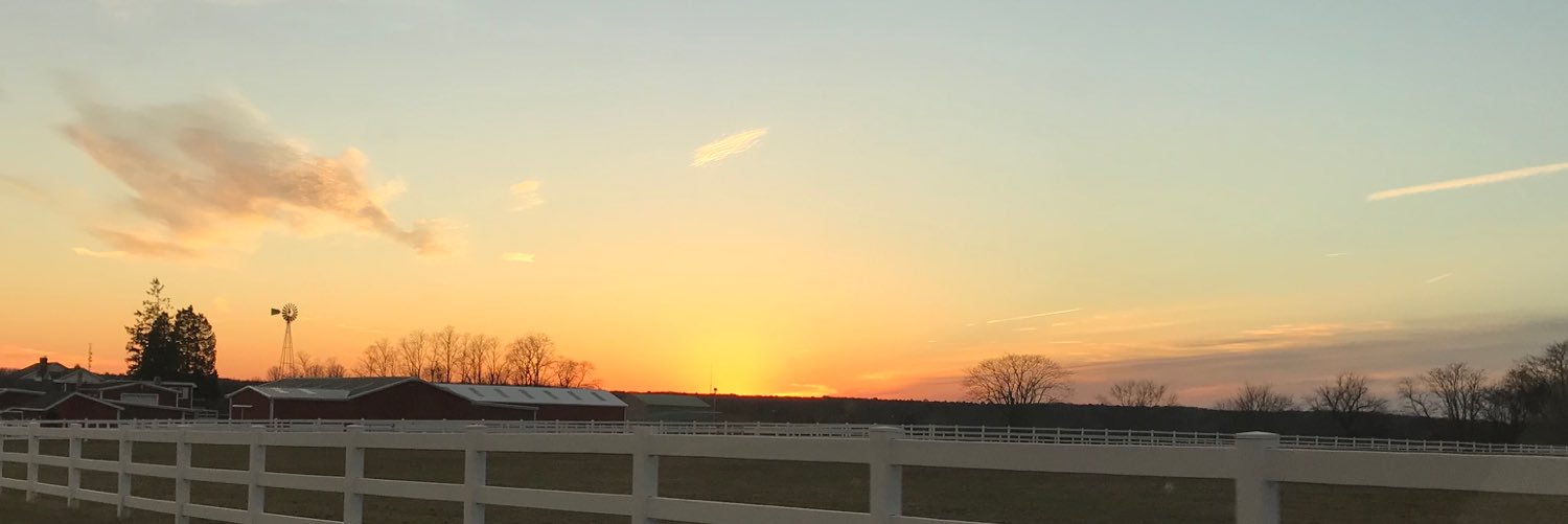 Michele_Bryant's profile banner image