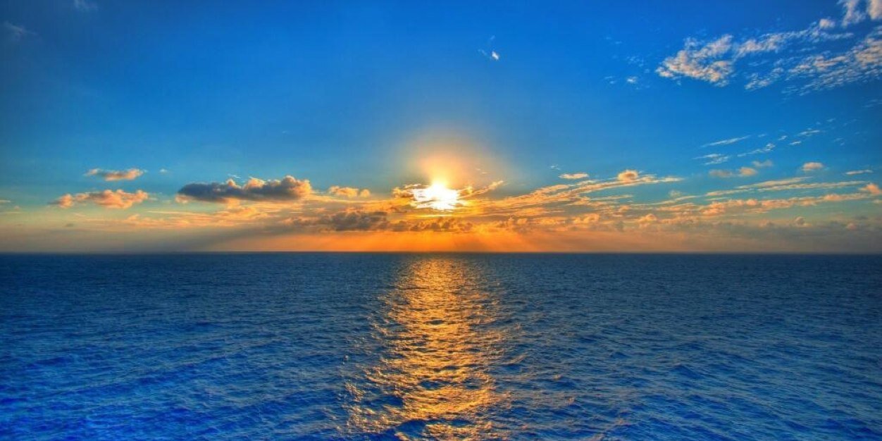 محمد العبد اللطيف banner