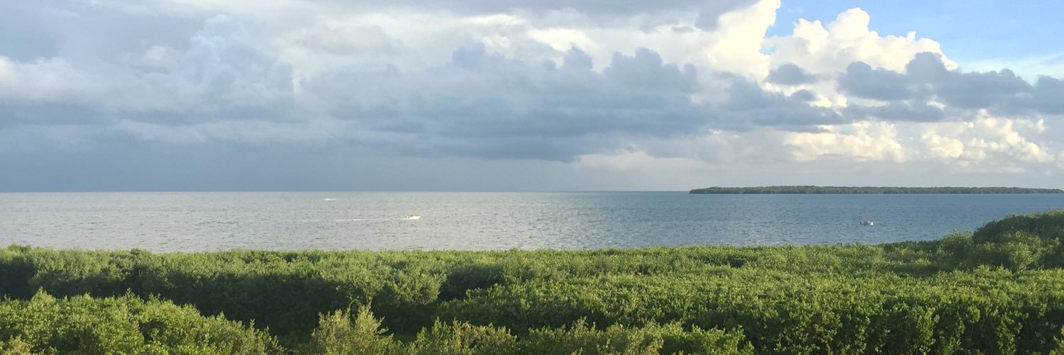 NickSeb5's profile banner image