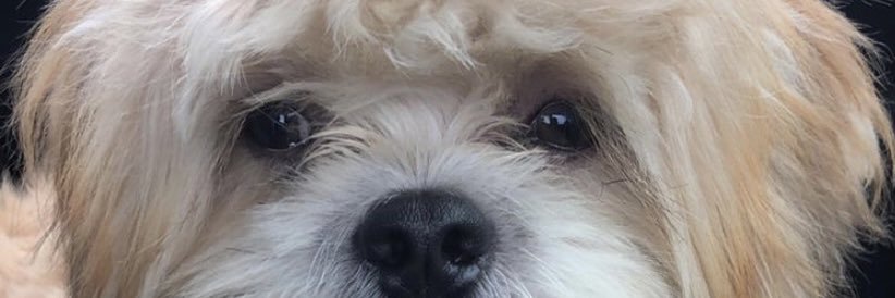 Osariemeee's profile banner image