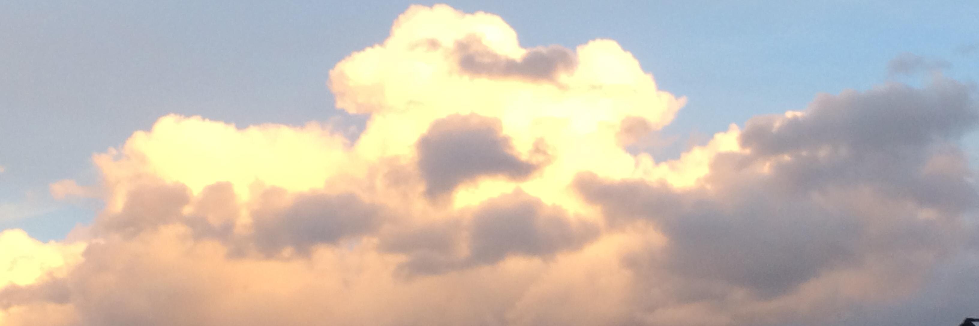 MsKalmer's profile banner image