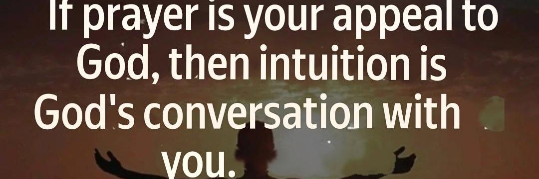 RomaTheSeekerDoge banner