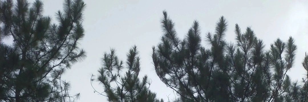 chrisssp_'s profile banner image
