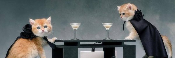 shawtyythin Profile Banner