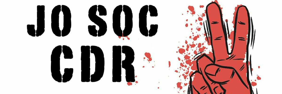 Pau #Socialisme #Anticapitalisme banner